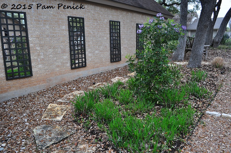 New mirrored trellises add depth to a blank wall