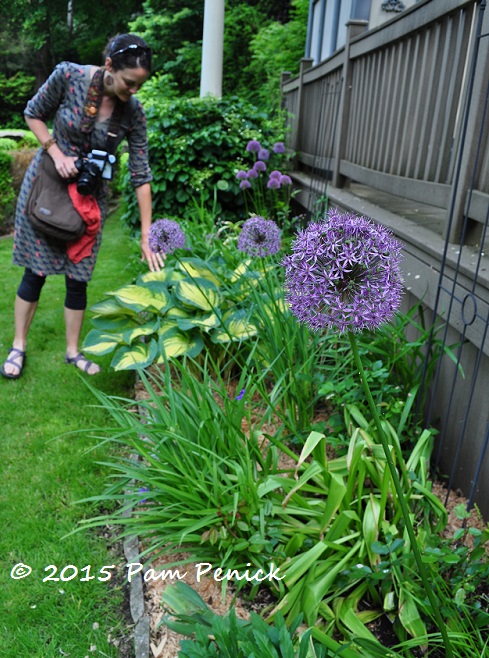Hillside Swansea gardens: Toronto Garden Bloggers Fling