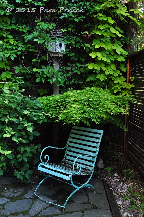 Simple lines, big impact in Forest Hill contemporary garden: Toronto Garden Bloggers Fling