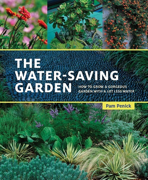 The Water-Saving Garden book party and giveaway!