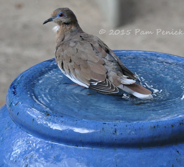 Cooling fountain hits the spot