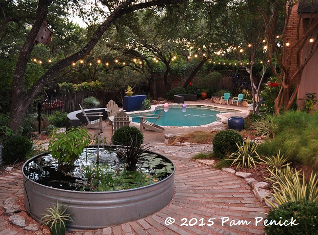 Evening garden design musings