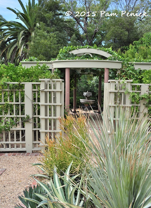 Formal axes, xeric plants in the Barrett Garden: GWA Pasadena