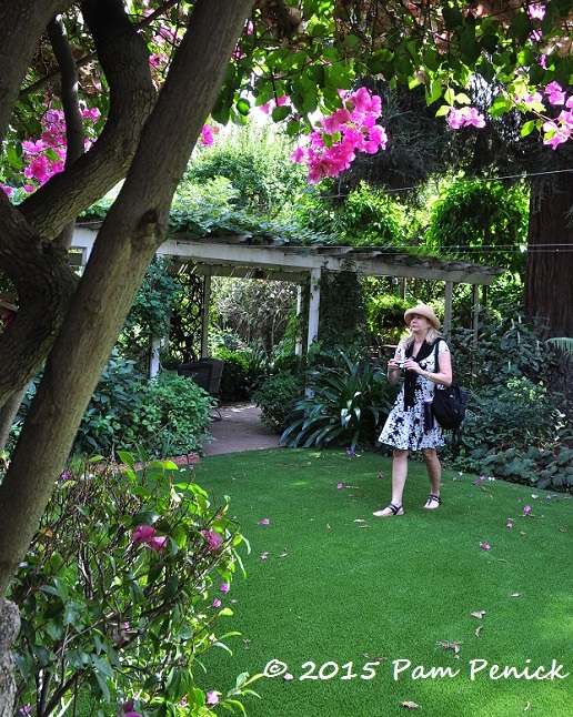 Tropical blooms in the Conlon Garden at GWA Pasadena