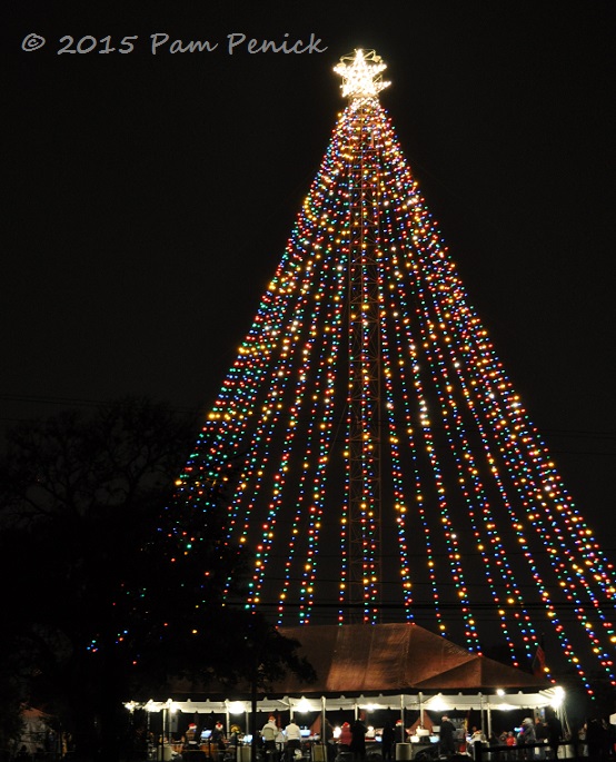 Zilker Holiday Tree lights Austin skyline again