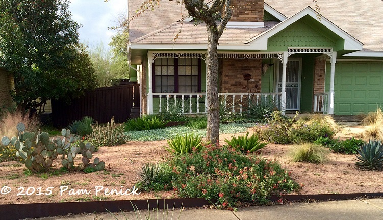 Drive-By Gardens: Desert-style garden in Wells Branch