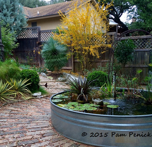 Peak fall color before the wash-out