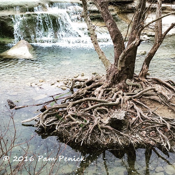 Water and stone flow along Austin's Bull Creek