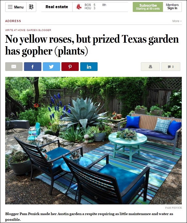 I'm interviewed in Boston Globe about Texas gardening and blogging
