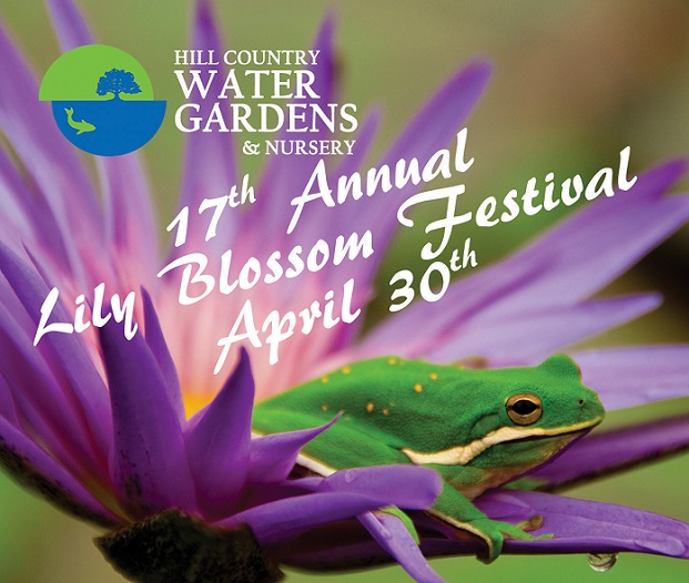 Come to my talk at Cedar Park nursery festival this Saturday