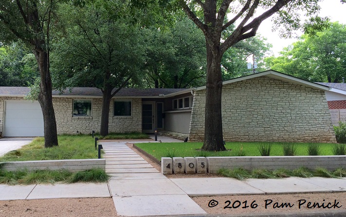 Drive-By Gardens: Contemporary curb appeal in Shoalwood