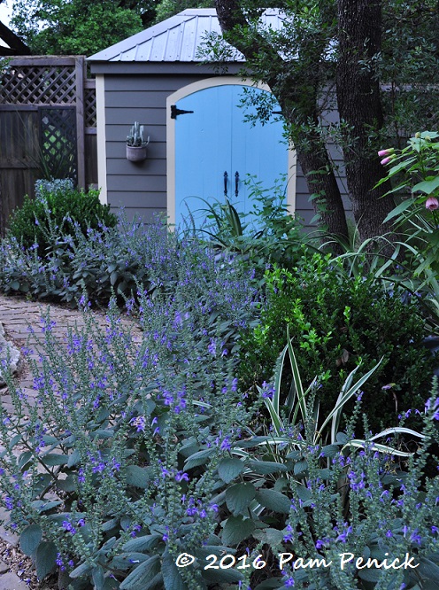 May flowers from A (agave) to V (vitex)