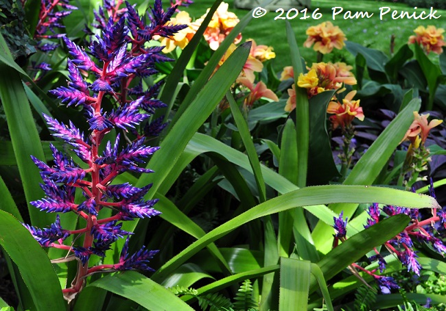 Those who play in glass houses: Conservatory and Indoor Children's Garden at Longwood Gardens