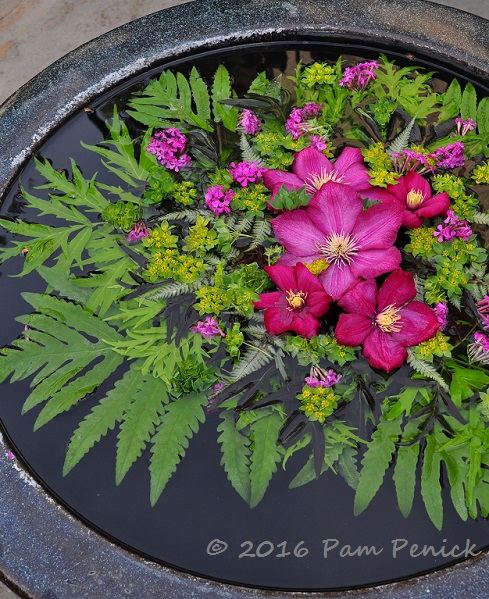 Drinking up beauty in Chanticleer's Teacup Garden