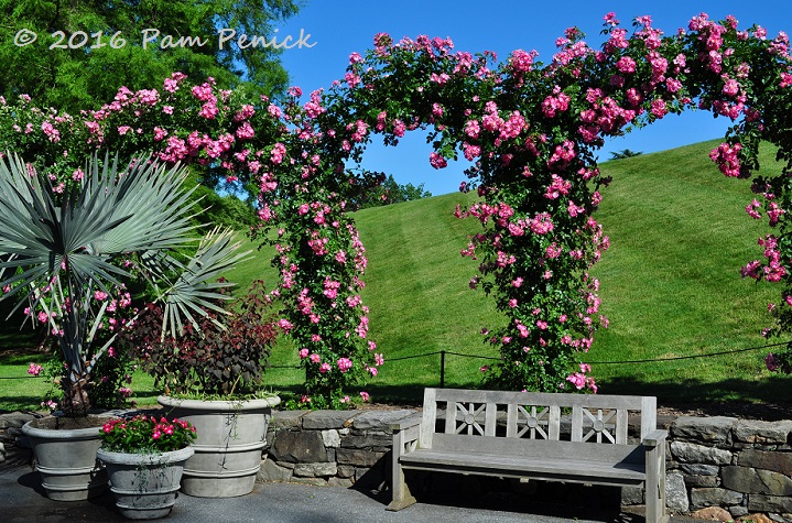 Rambler roses and dancing water: Formal gardens at Longwood Gardens