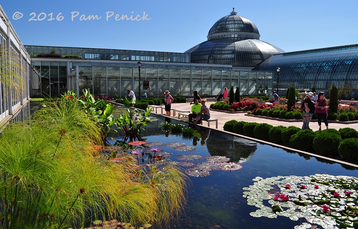 Como Park Conservatory and Japanese Garden: Minneapolis Garden Bloggers Fling