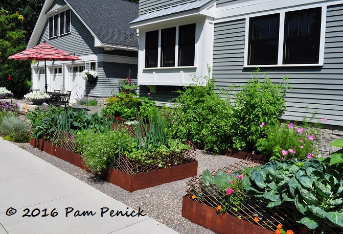 Corten potager beauty in Rhonda Fleming Hayes's garden: Minneapolis Garden Bloggers Fling