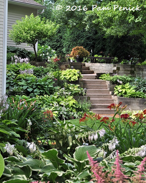 Dynasty Drive flowers and bonus hosta garden: Minneapolis Garden Bloggers Fling