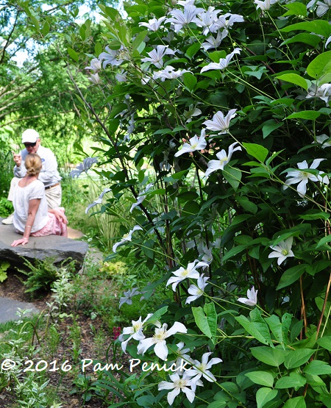 Flowers and rich foliage at Chanticleer's Pond Garden