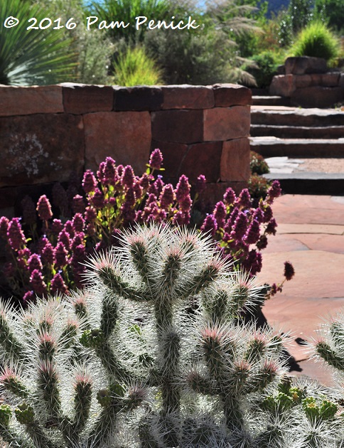 High-altitude garden in bloom at Santa Fe Botanical Garden