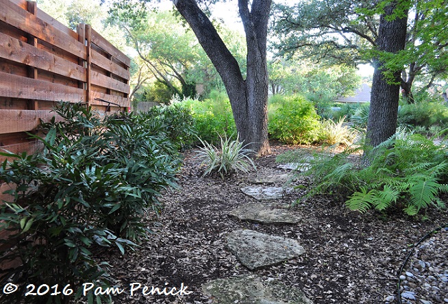 Evolution of a side garden with trash-bin screening