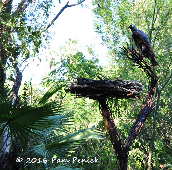 Visit to Quinta Mazatlan, birding, and Planta Nativa Festival