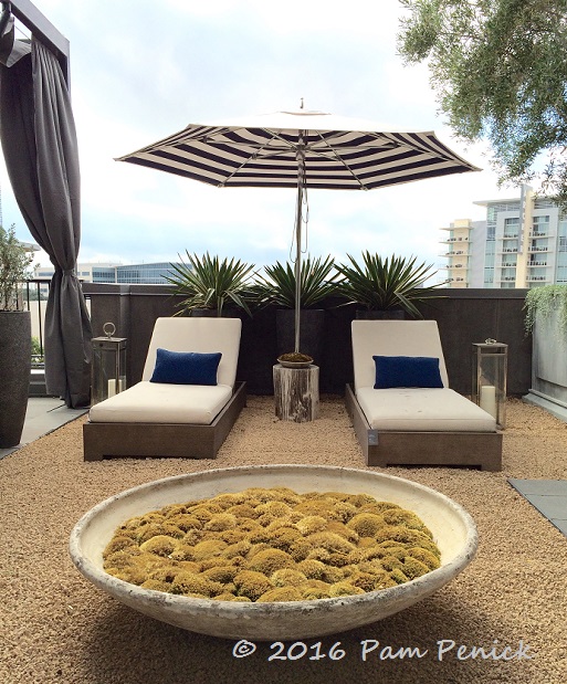 RH Austin rooftop garden showcases contemporary outdoor furniture