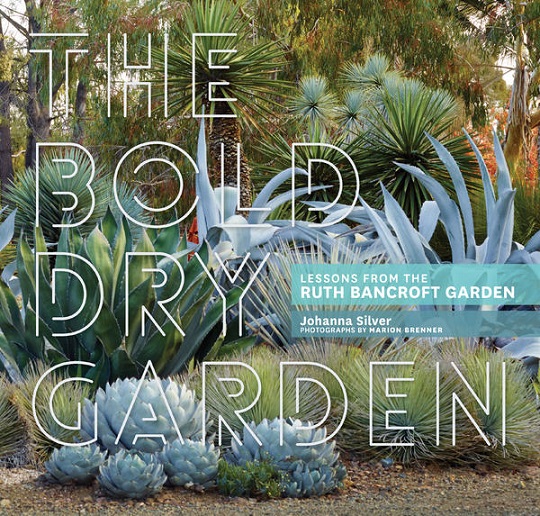 Read This: The Bold Dry Garden