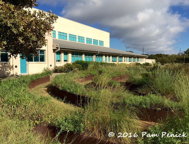 Urban meadow and security landscaping at Austin forensics center and police station