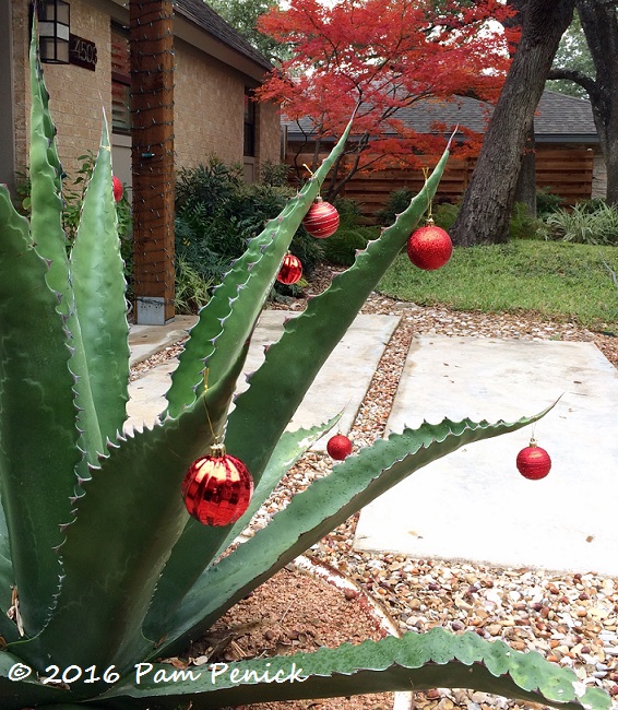 Final fall foliage as winter's icy breath freezes Austin