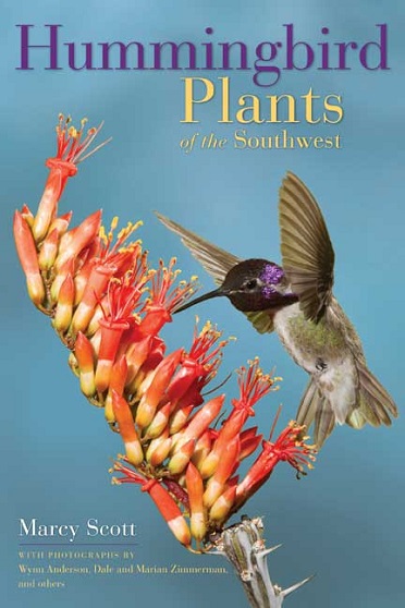 Read This: Hummingbird Plants of the Southwest
