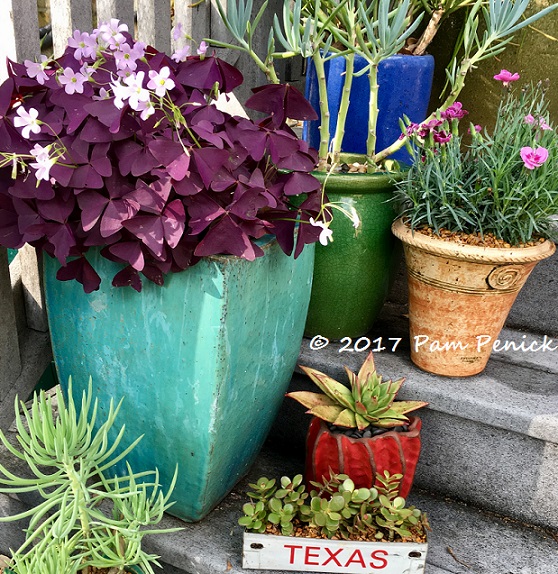 Refreshed porch pots and tiki hut