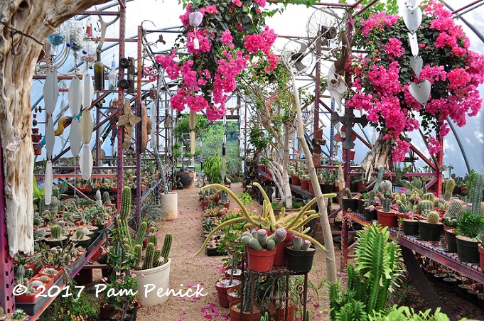 Glass art and cacti galore at Living Desert Ranch