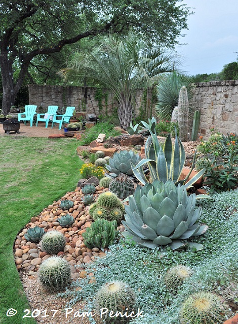 Agave and cactus splendor in the garden of Matt Shreves