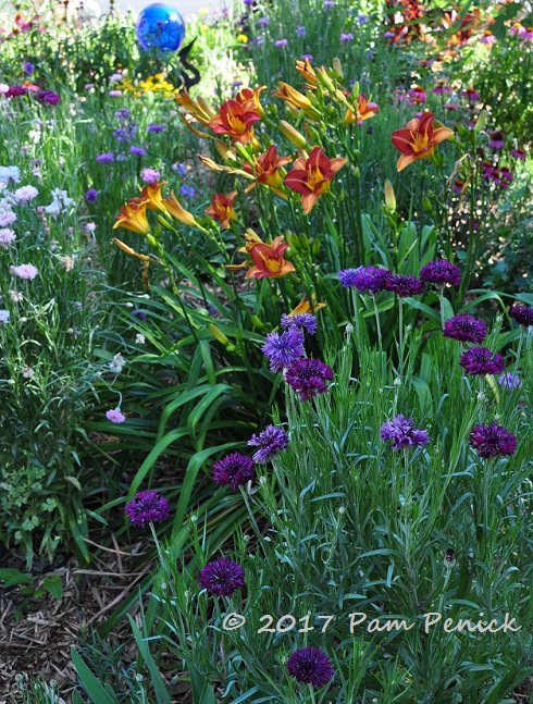 Cottage garden meets Zen garden: Inside Austin Gardens Tour 2017