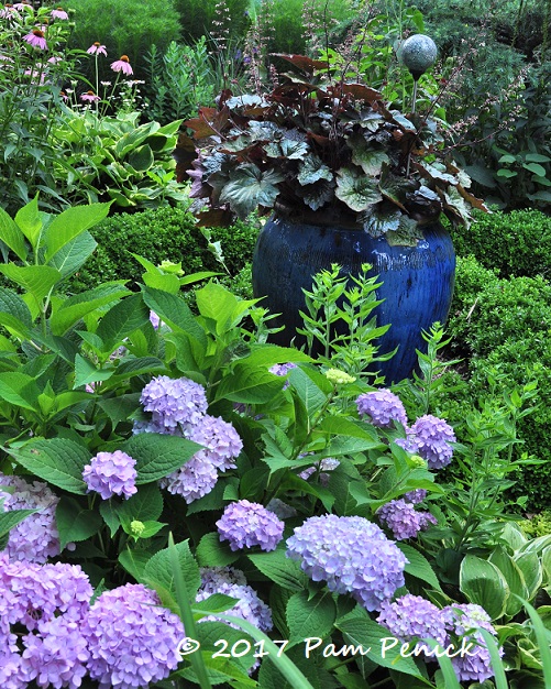 Blue fantasy in the garden of Linda Hostetler: Capital Region Garden Bloggers Fling