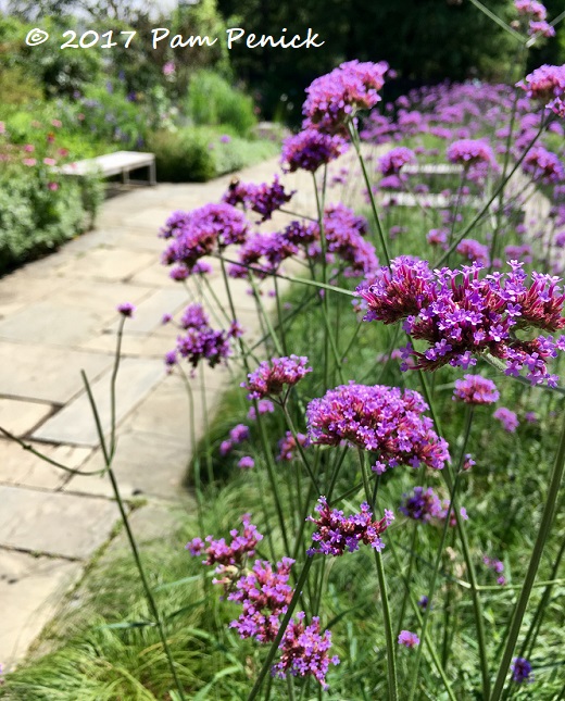 Brookside Gardens and a Dougherty twig sculpture: Capital Region Garden Bloggers Fling