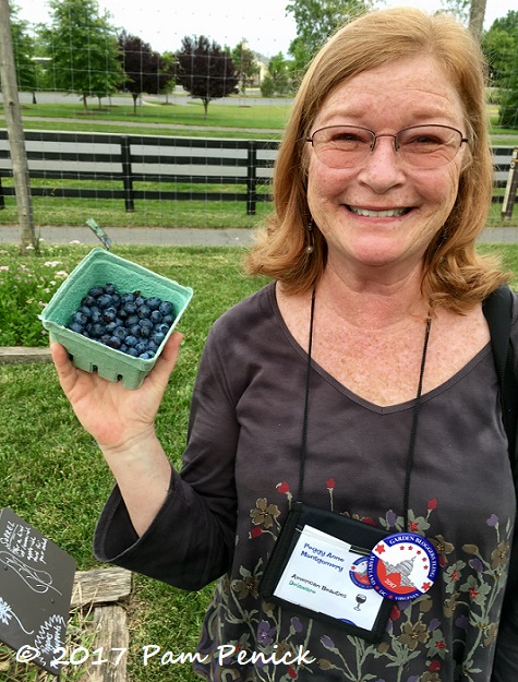 Willowsford Farm market stand & Fling wrap-up: Capital Region Garden Bloggers Fling