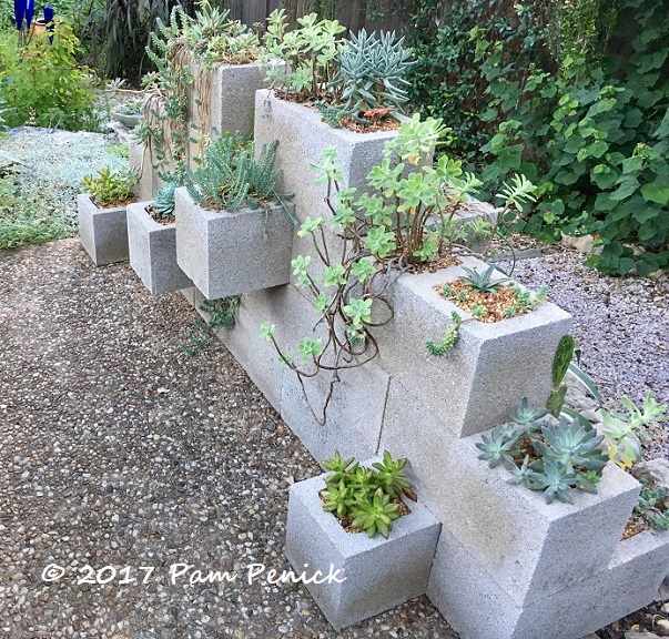 Potted patio where succulents rule