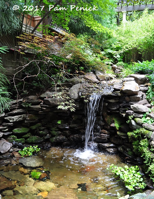 Southern Gothic garden of Jeff Minnich: Capital Region Garden Bloggers Fling