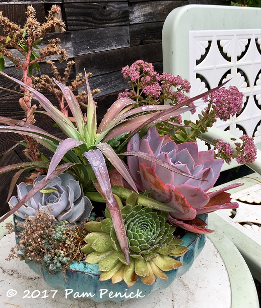 In the Thicket of things: An urban boutique nursery in Portland