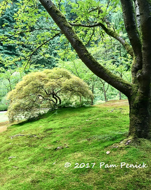 Sunny day at Portland Japanese Garden