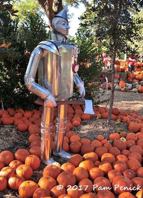 Pumpkins in the land of Oz at Dallas Arboretum
