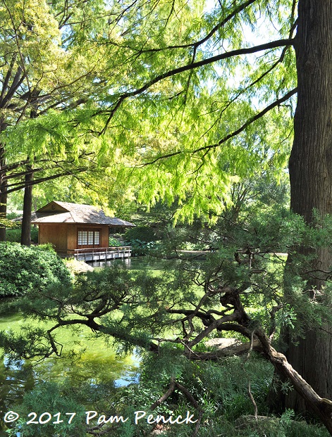 Visit to Fort Worth Botanic Garden and Japanese Garden