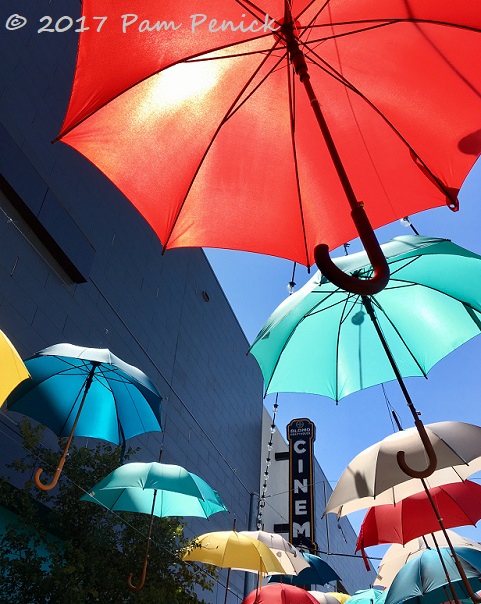 Umbrella sky at Aldrich Street in Austin