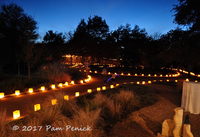 Luminations lights up the Wildflower Center for Christmas
