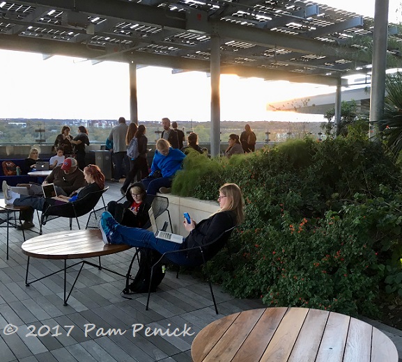 New Central Library - "Austin's front porch" - boasts rooftop garden and more