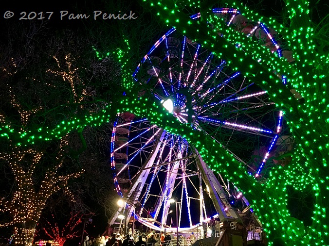 Austin shines brightly at Trail of Lights and Zilker Tree