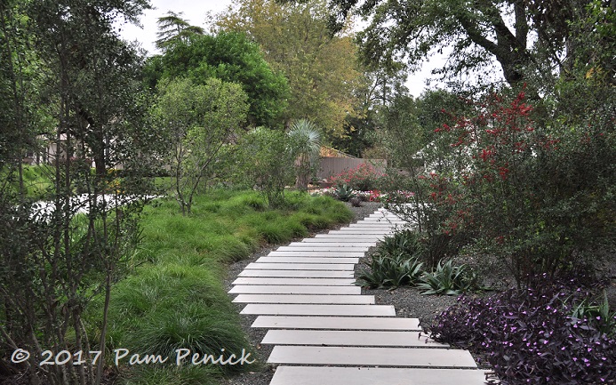 Sedgey front garden and xeriscape terrace