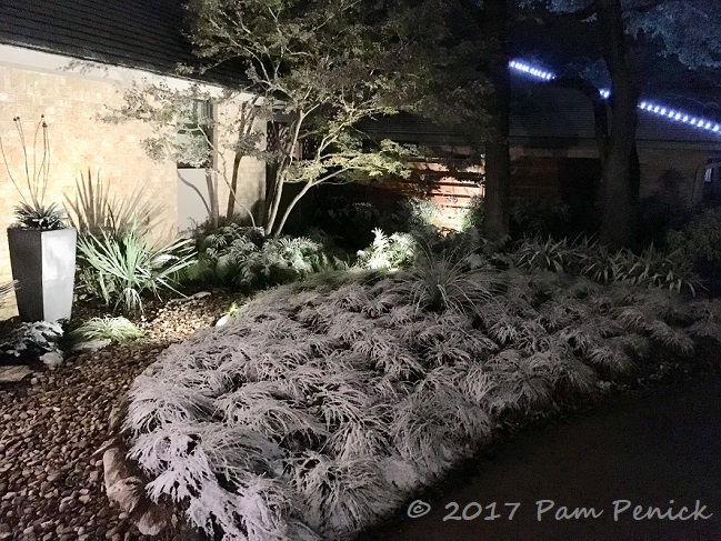 Snow day in Austin! It only takes a dusting